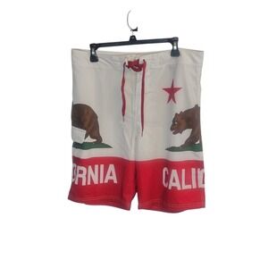 CARBON California Flag Swim~Board Shorts Men's 34‎ Side Pocket Unlined